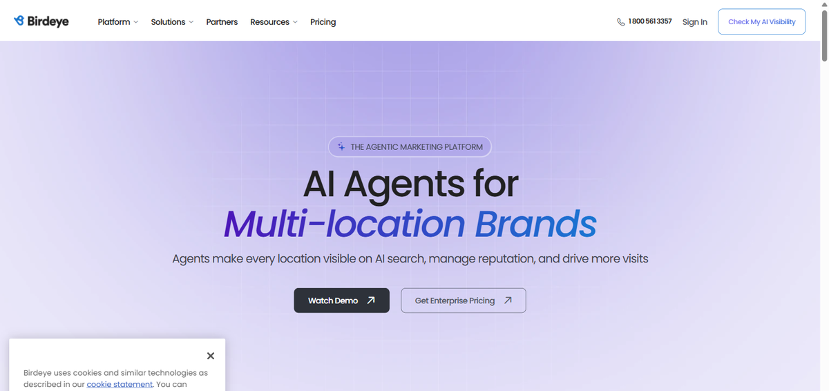 The Birdeye homepage in 2026, positioning an all-in-one reputation platform.